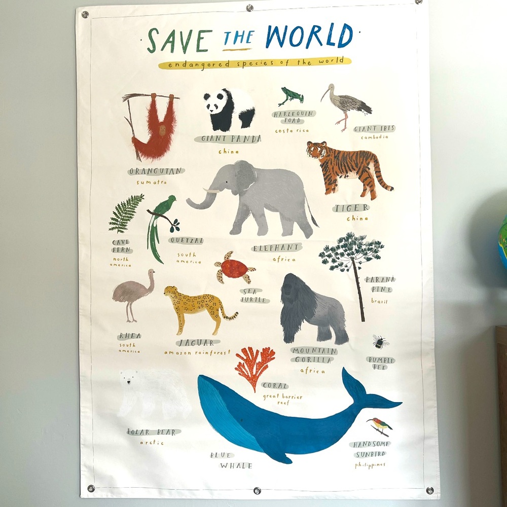 EUC Potterybarn kids Save The World Tapestry